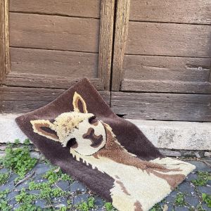 Alpaca sereno